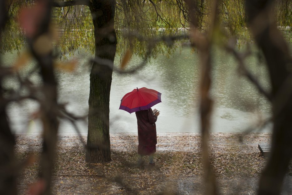 Fotografija: Nov teden bo precej bolj siv in moker na zahodu. FOTO: Jure Eržen, Delo