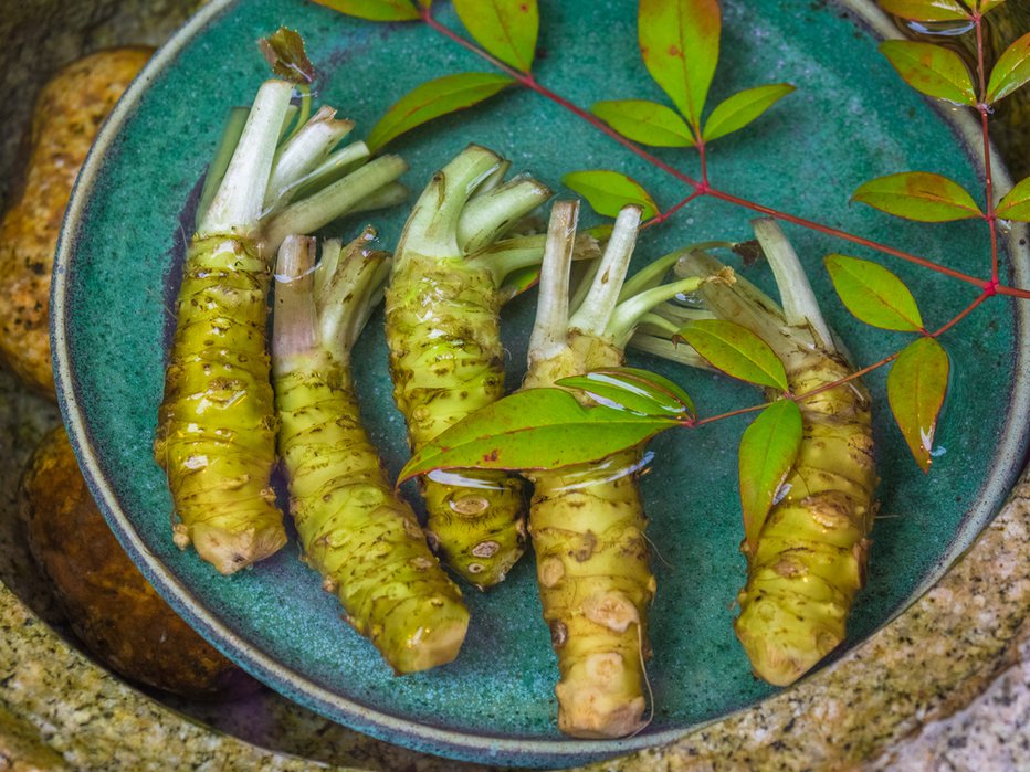 Fotografija: Pravi wasabi naj bi imel celo protirakav učinek. Foto: Shutterstock