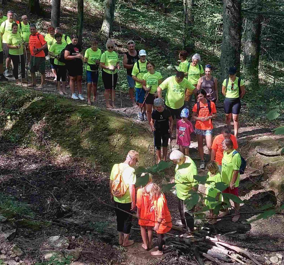 Fotografija: Najprimernejše so lesene palice, s kakršnimi so si pomagali tudi pohodniki. FOTOGRAFIJE: Osebni arhiv