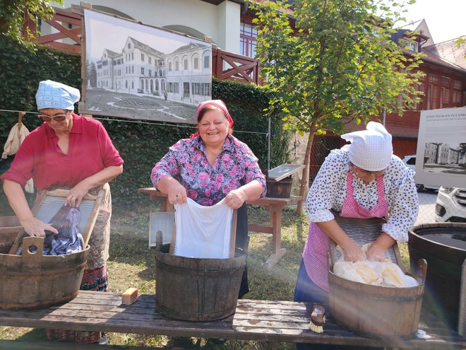 Perice so nekoč izkoristile toplo termalno vodo zdravilišča za pranje perila. FOTO: Mojca Marot