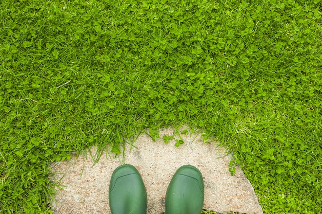 Vse do oktobra je primeren čas za jesensko setev trave. FOTO: Getty Images/istockphoto