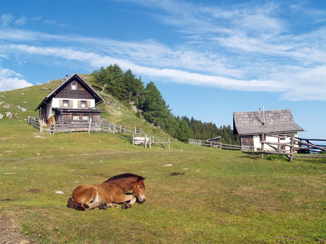 Gorjanska planina