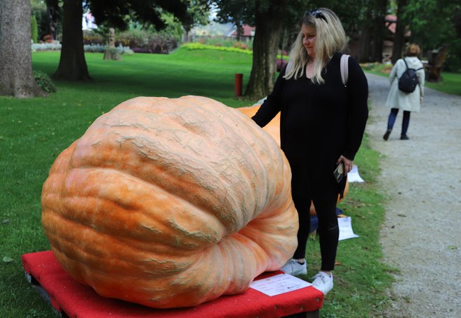 Obiskovalci so veseli buč v parku. FOTO: Jože Miklavc