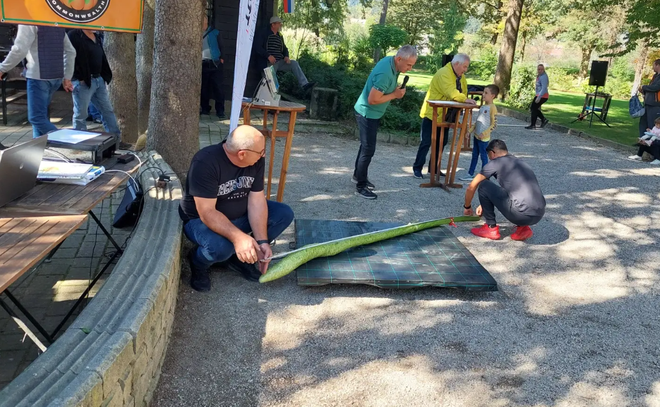 Najdaljša presega neverjetne tri metre. FOTO: Mozirski Gaj