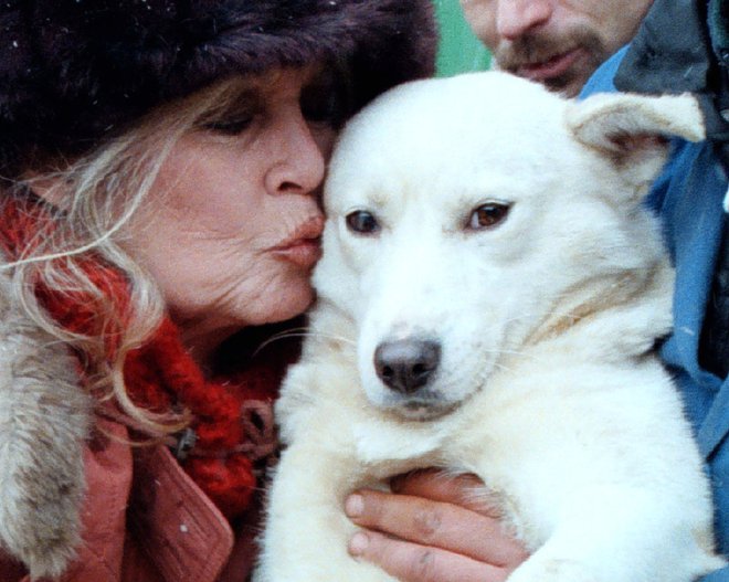 Sua fundação para animais tornou-se uma das mais bem-sucedidas. FOTO: Reuters