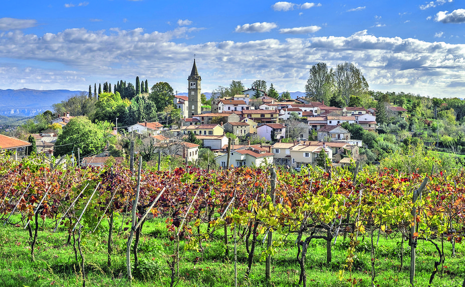 Fotografija: Pomjan FOTO: Shutterstock 