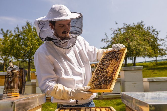 Lahko se pohvali s certifikatom poklicnega apiterapevta in fitoterapevta. FOTO: Blaž Sluga