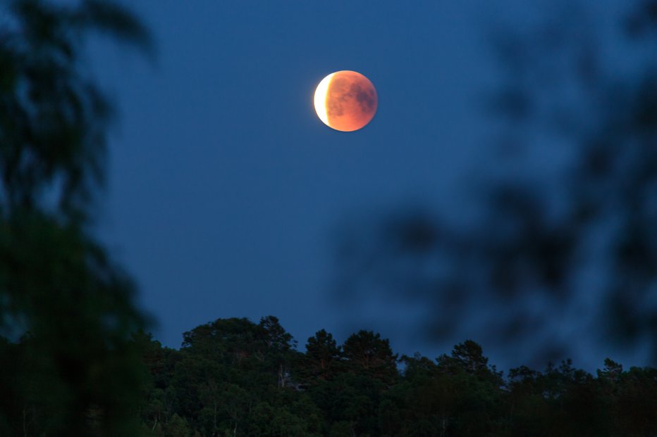 Fotografija: Sončev mrk deluje kot rušitelj starega in prinaša na pogorišču možnost nove rasti in zagona. FOTO: Johannesbluemel Photography/Getty Images