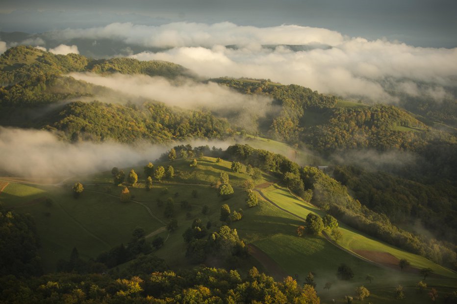 Fotografija: Foto: Jure Eržen