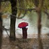 Reke narašajo v zgornjem Posočju in na Gorenjskem, voda zalivala objekte in cestišča, prožijo se plazovi