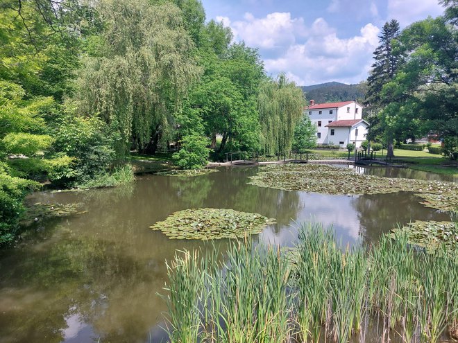 Jezero krasijo lokvanji.