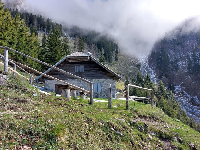 Krničarjeva koča nas pričaka na planini Javornik.