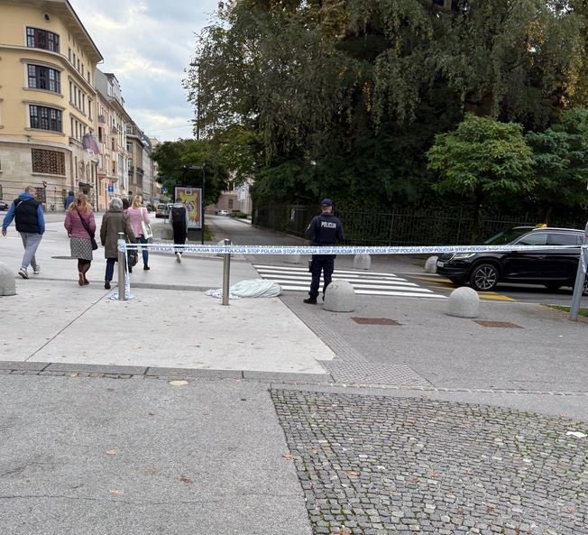 Fotografija: Lopova sta pri begu skozi središče Ljubljane odvrgla del plena. FOTO: Bralec