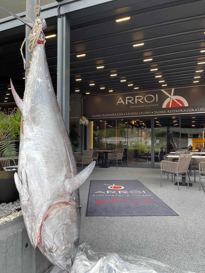 Tuna bodo danes razrezali v azijski restavraciji na Bledu. FOTO: Osebni arhiv