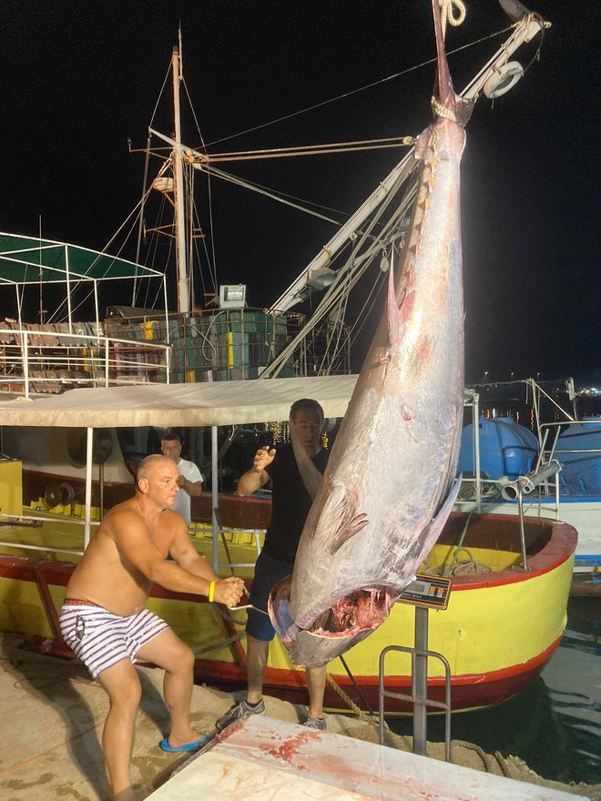 Pred tremi leti je ujel rekordno težko, kar 280-kilogramsko ribo. FOTO: Osebni arhiv