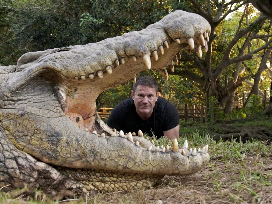 Fotografija: Britanski naravoslovec in TV-voditelj Steve Backshall je bil resnično navdušen nad Henryjem. FOTO: Shock Mansion/Channel 5