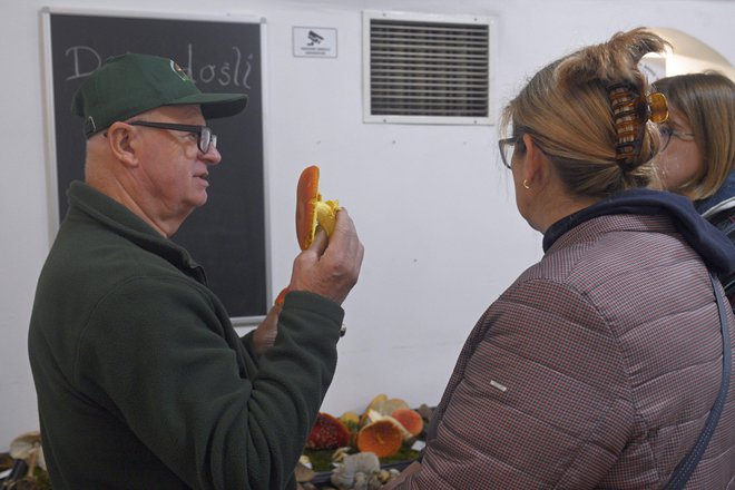 Jože Kočjaž je priznani določevalec in poznavalec gob.