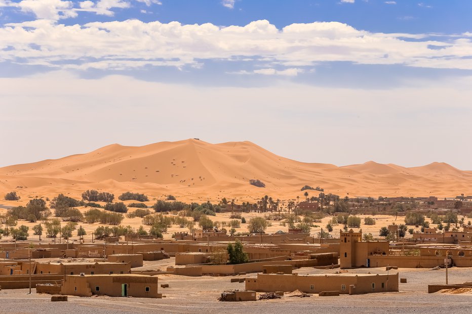 Fotografija: Sahara je eno najbolj sušnih območij na planetu. FOTO: Nodostudio/getty Images