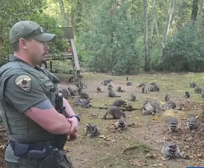 Policisti česa takšnega še niso videli. Foto: X