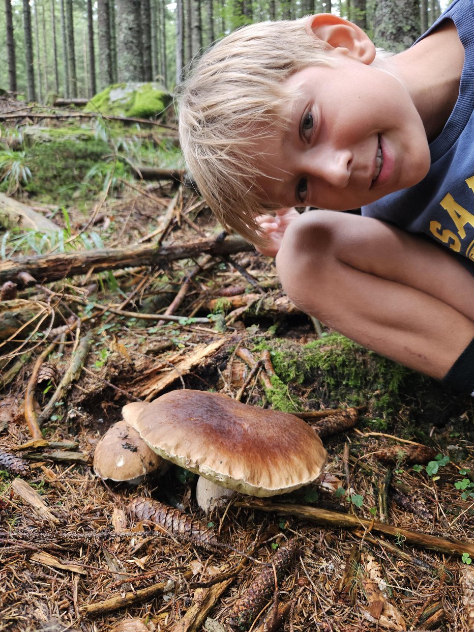 Fotografija: 11-letni Lovro gobari že od tretjega leta starosti in je letos našel kar trojnega gobana. FOTO: Tina Horvat