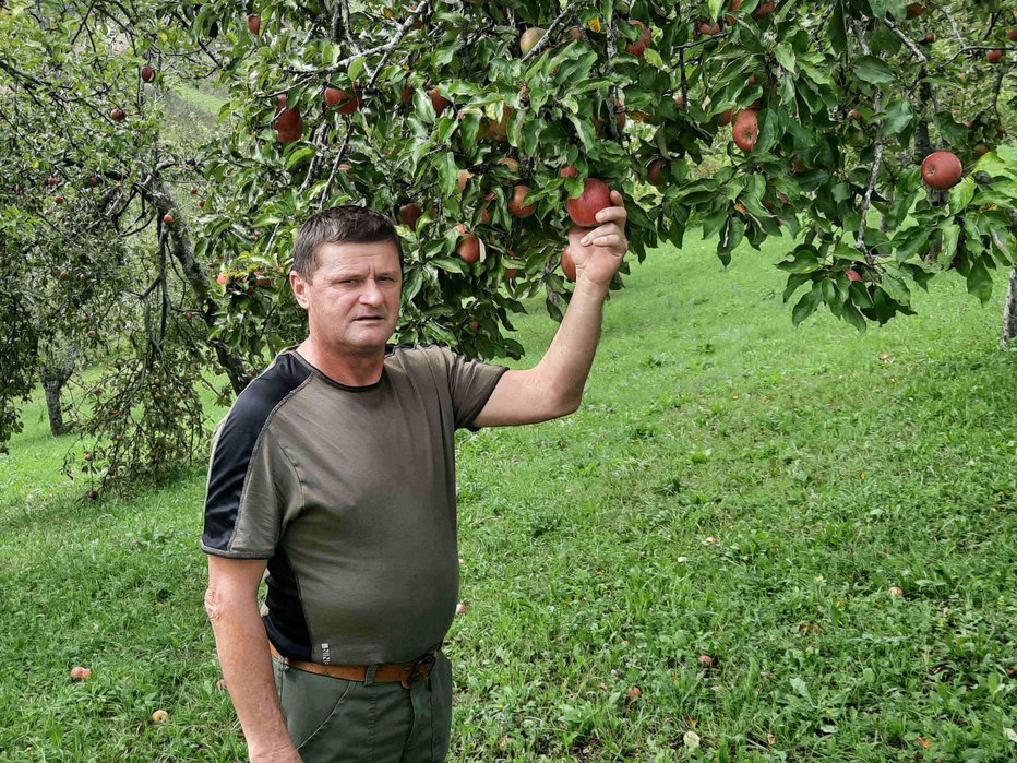 Fotografija: Franc Vrenko s svojim delom in načinom kmetovanja prispeva k ohranjanju narave, biotske raznovrstnosti in kozjanske krajine. FOTO: JZ Kozjanski park