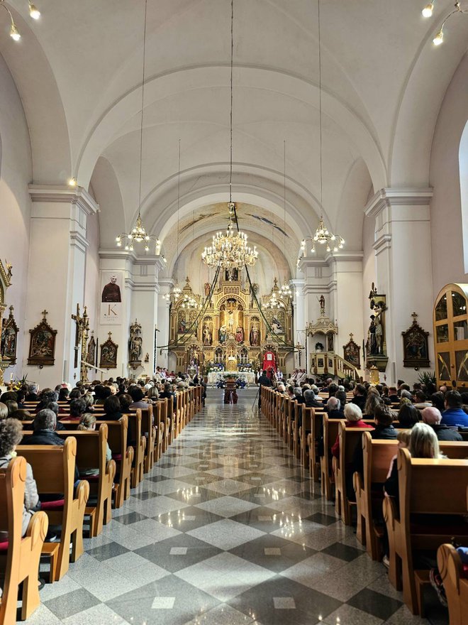 Danes ne delamo zgodovine, ampak jo popravljamo, je dejal soboški škof Peter Štumpf. FOTO: Oste Bakal