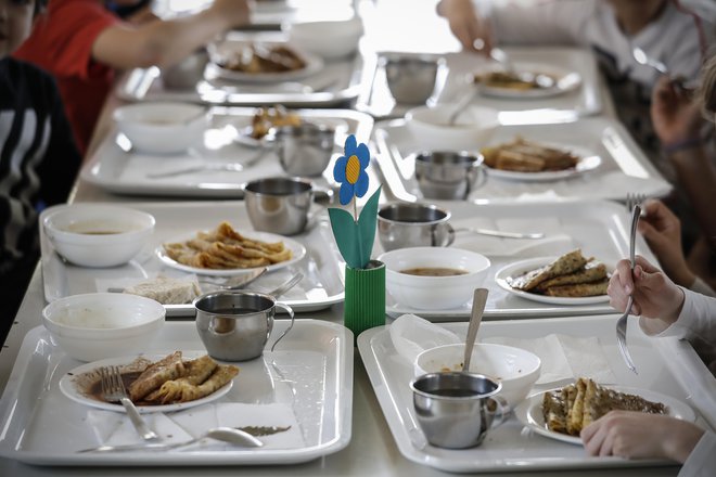 V javne zavode je vsak dan vključenih več kot 600.000 ljudi, samo za nahranitev teh bi potrebovali 120.000 hektarjev kmetijskih zemljišč. FOTO: Uroš Hočevar