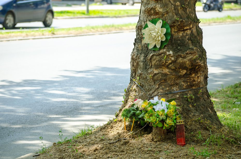 Fotografija: Fotografija je simbolična.  FOTO: Srdjanns74 Getty Images/istockphoto