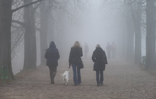 V torek naj bi bilo po nižinah še megleno. FOTO: Jože Suhadolnik