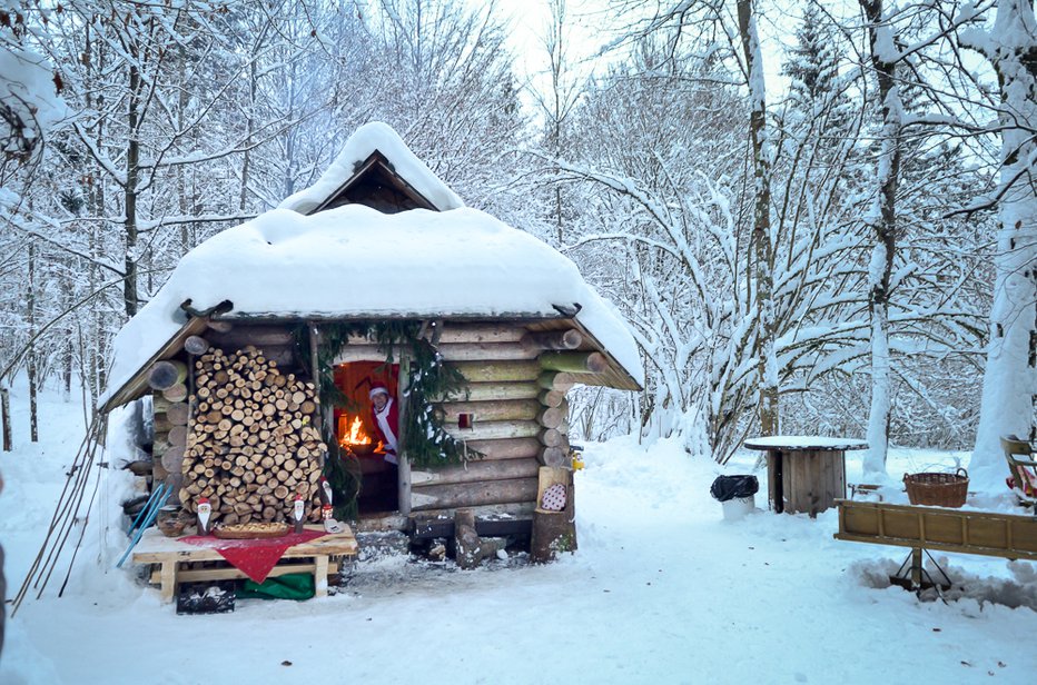 Fotografija: Ne bo je več v Bohinju. FOTO: Jure Gasparič/Top agencija