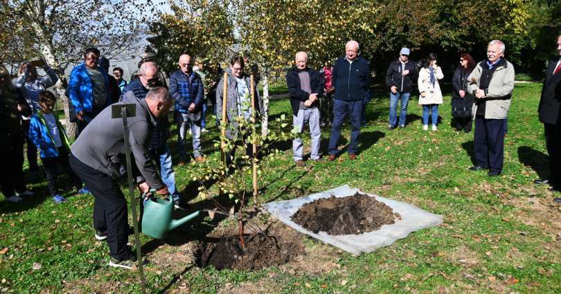 Fotografija: V Vrtu spominov in tovarištva na Petanjcih, so zasadili brezo in se spomnili pobitih partizanov. FOTO: Dani Mauko