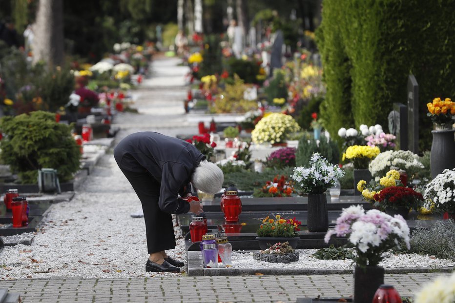 Fotografija: Da bi namesto sveč pokojnim ob prazniku spomina na mrtve poklonili kaj drugega, si že nekaj let prizadevajo tudi pri fundaciji Svečka. FOTO: Leon Vidic