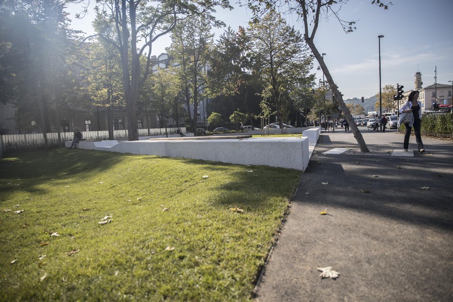 Fotografija: Tokrat so napadle Tomanov park. FOTO: Uroš Hočevar