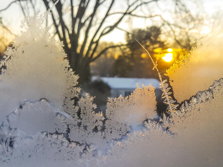 Fotografija: Simbolična fotografija. FOTO: Getty Images