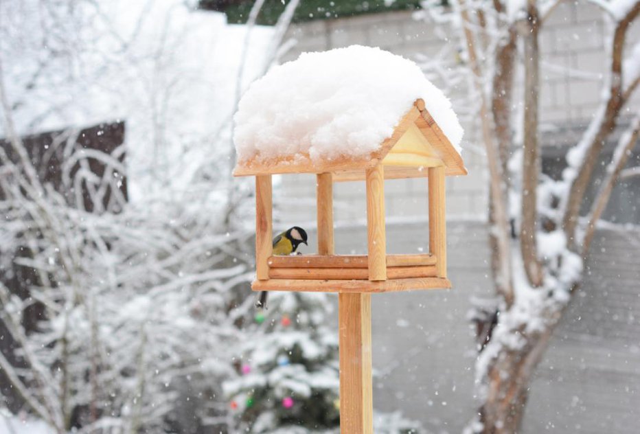 Fotografija: Februar bi lahko prinesel normalne, morda celo nadpovprečne padavine. FOTO: Radovan1/Shutterstock