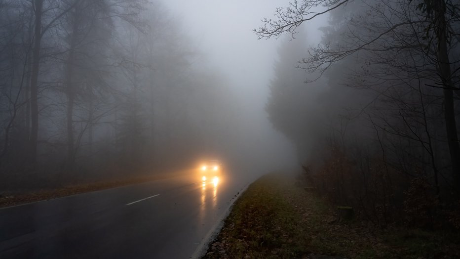 Fotografija: Najbolj nevarno je, če čakamo do zares goste megle in takrat močno zaviramo. FOTO: Wirestock/Getty Images