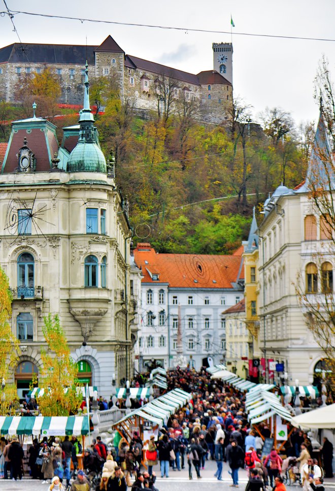 To je že tradicionalna uspešnica. FOTO: Marko Feist