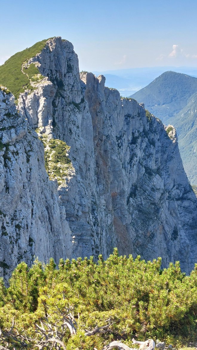 Južna stran Rzenika je zmerno strmo pobočje, ki se na severno stran prevesi v navpično steno.