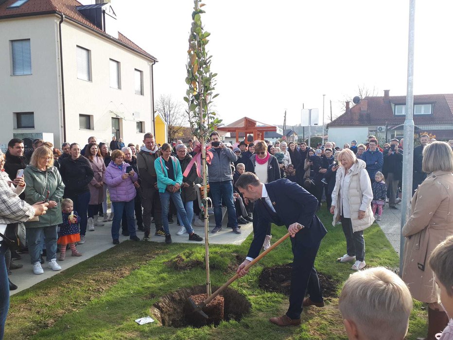 Fotografija: Rožnato drevo bo opominjalo, da je zdravje naše največje bogastvo.