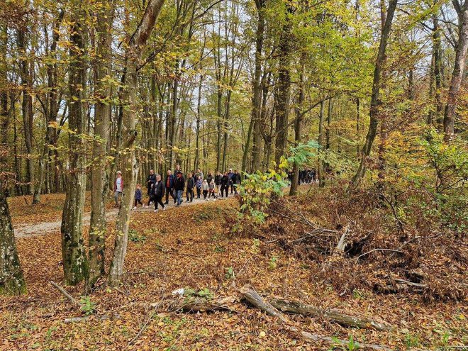 FOTO: Občina Križevci