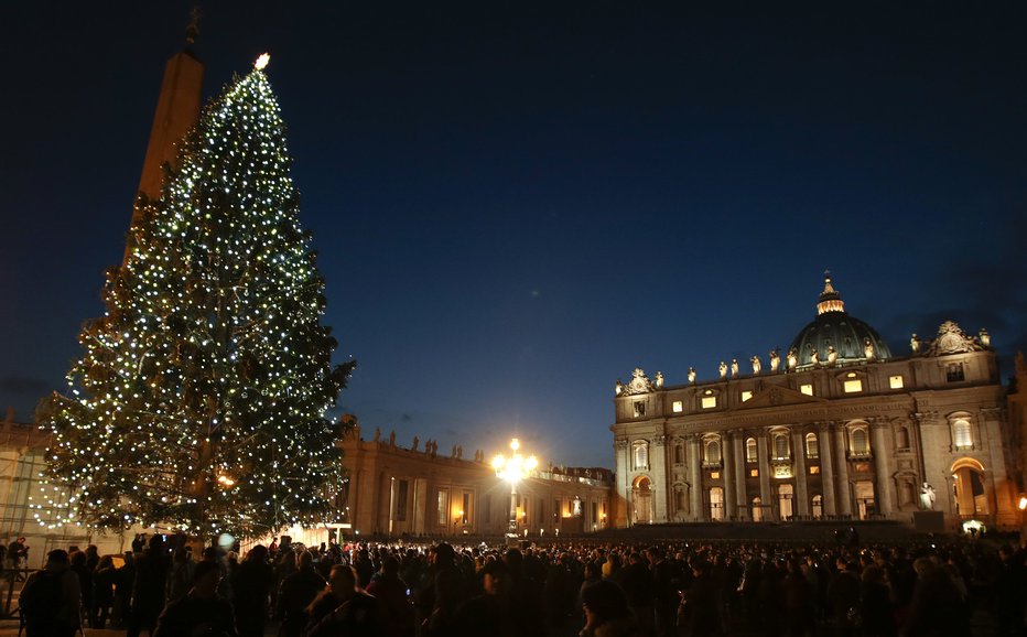 Fotografija: Smreko vsako leto Vatikanu podarijo iz katere od italijanskih regij ali drugih delov Evrope. FOTO: Tony Gentile/Reuters Pictures