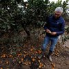 Španija na udaru nove vremenske fronte! Močne nevihte in poplave ogrožajo državo (FOTO, VIDEO)