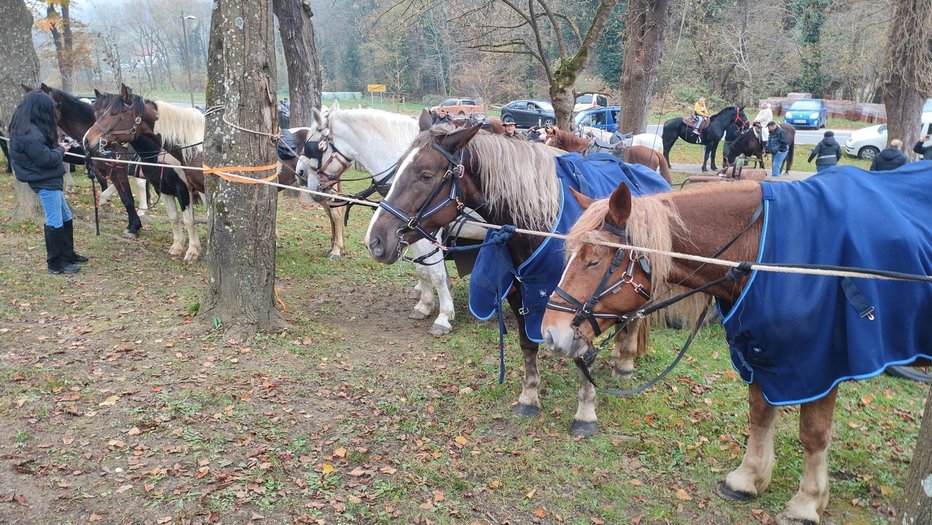 Fotografija: Kar 47 jih je bilo. FOTO: TD Frankolovo