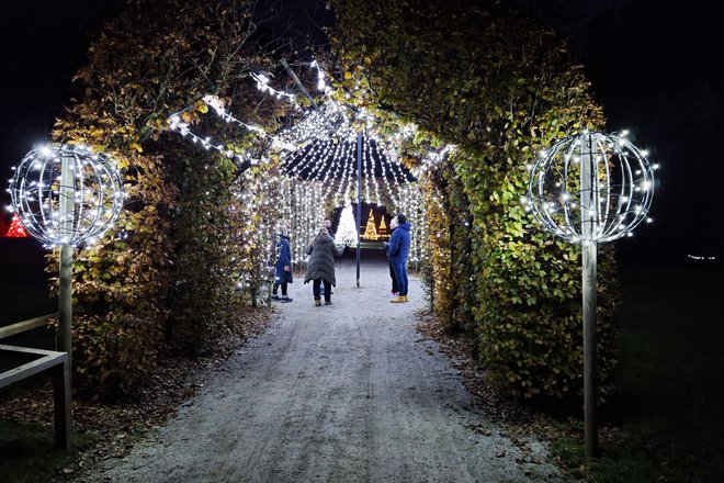 Večerni sprehod v Arboretumu se letos razprostira na 35 hektarih površine.