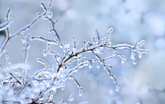 Ponekod bi lahko nastal žled. Foto: Getty Images