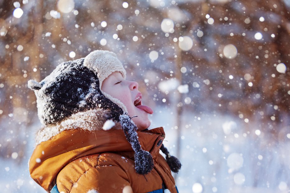 Fotografija: Tyler Roys napoveduje, da bo prva pošiljka snega v nižinah zapadla že zelo kmalu. Foto: Shutterstock