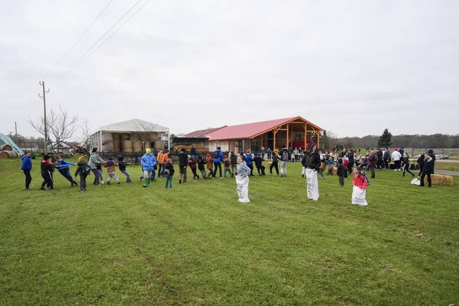 FOTO: Arhiv Vzorčna Kmetija