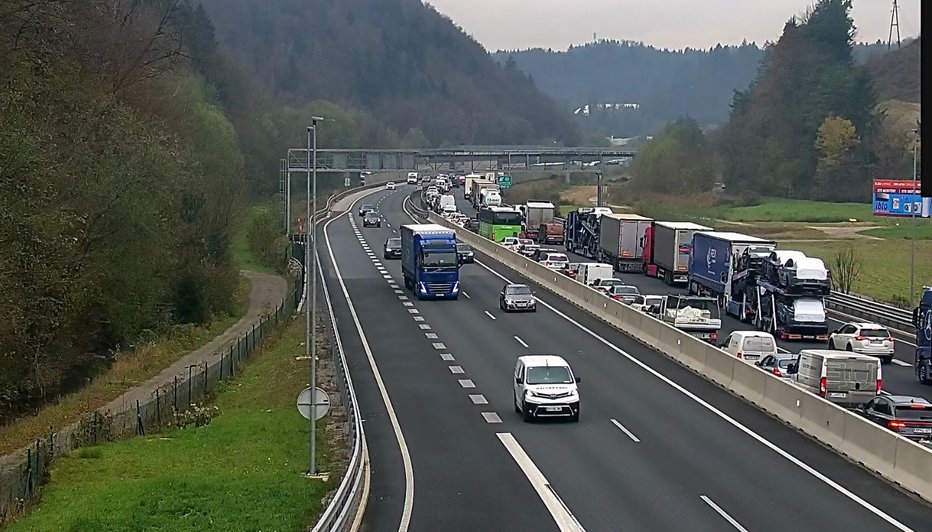 Fotografija: Simbolična fotografija, Blagovica. FOTO: Promet.si