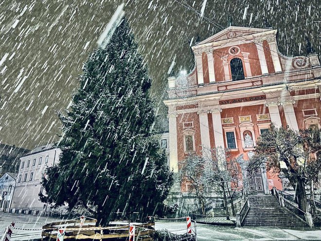 Snežilo je tudi v Ljubljani. FOTO: E. N.