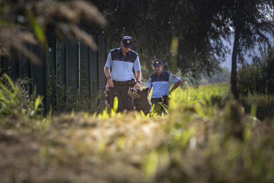 Fotografija: FOTO: Voranc Vogel